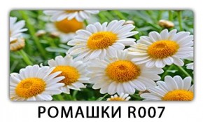 Стол раздвижной Трилогия с фотопечатью Доска D112 в Асбесте - asbest.mebel24.online | фото 15