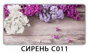 Стол раздвижной Трилогия с фотопечатью Доска D112 в Асбесте - asbest.mebel24.online | фото 16