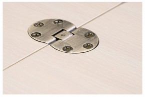 Стол-трансформер Престиж в Асбесте - asbest.mebel24.online | фото 10