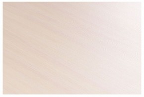 Стол-трансформер Престиж в Асбесте - asbest.mebel24.online | фото 8