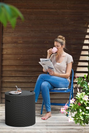Столик-холодильник Кул-Стул (Cool stool) графит в Асбесте - asbest.mebel24.online | фото 1
