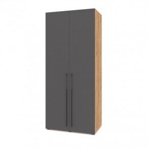СТОУН С22 Шкаф 2-х створчатый (золотой дуб/графит) в Асбесте - asbest.mebel24.online | фото