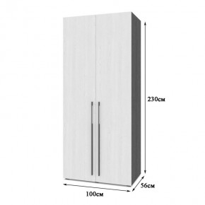 СТОУН С22 Шкаф 2-х створчатый (золотой дуб/графит) в Асбесте - asbest.mebel24.online | фото 2