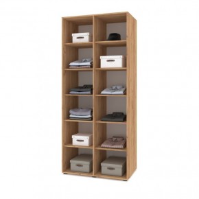 СТОУН С23 Шкаф 2-х створчатый (дуб золотой/графит) в Асбесте - asbest.mebel24.online | фото 3