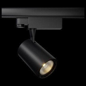Светильник на штанге Maytoni Vuoro TR029-3-10W4K-B в Асбесте - asbest.mebel24.online | фото 2