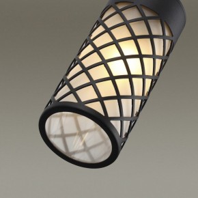 Светильник на штанге Odeon Light Dunes 4834/1W в Асбесте - asbest.mebel24.online | фото 5
