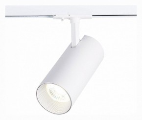 Светильник на штанге ST-Luce Mono ST350.536.30.36 в Асбесте - asbest.mebel24.online | фото 2