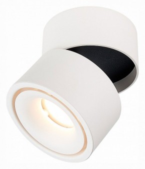 Светильник на штанге ST-Luce ST652 ST652.532.12 в Асбесте - asbest.mebel24.online | фото 3