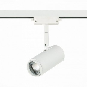 Светильник на штанге ST-Luce Zoom ST600.546.12 в Асбесте - asbest.mebel24.online | фото 3
