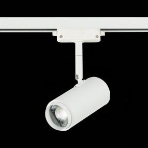 Светильник на штанге ST-Luce Zoom ST600.546.12 в Асбесте - asbest.mebel24.online | фото 5