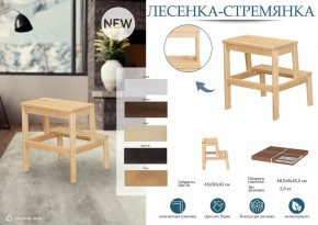 Табурет Стремянка в Асбесте - asbest.mebel24.online | фото 6