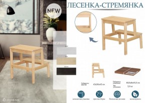 Табурет Стремянка в Асбесте - asbest.mebel24.online | фото 4