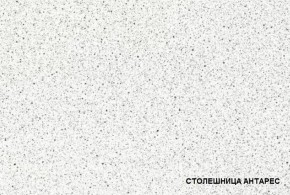ТЕХНО-5 Кухонный гарнитур угловой 3,2*2,24 м в Асбесте - asbest.mebel24.online | фото 3
