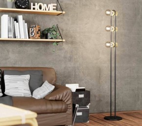 Торшер Eglo ПРОМО Chieveley 43544 в Асбесте - asbest.mebel24.online | фото 2