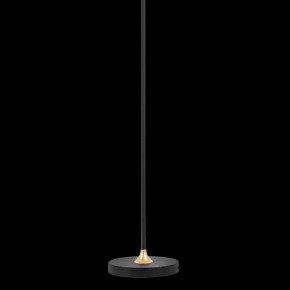Торшер Lightstar Acrile 738773 в Асбесте - asbest.mebel24.online | фото 5