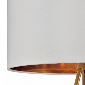 Торшер Lumion Tapioka 8077/1F в Асбесте - asbest.mebel24.online | фото 6