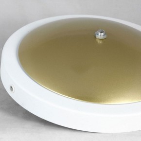 Торшер Lussole LSP-062 LSP-0625 в Асбесте - asbest.mebel24.online | фото 2