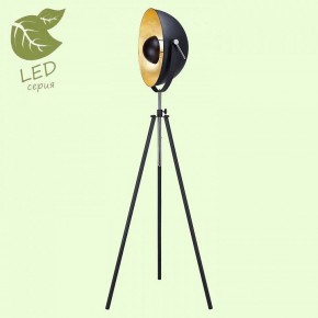 Торшер Lussole Sherrelwood GRLSP-9824 в Асбесте - asbest.mebel24.online | фото 2