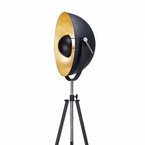 Торшер Lussole Sherrelwood LSP-9824 в Асбесте - asbest.mebel24.online | фото 2