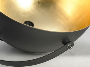 Торшер Lussole Sherrelwood LSP-9824 в Асбесте - asbest.mebel24.online | фото 4