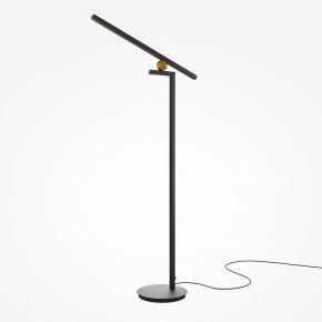 Торшер Maytoni Emphaty MOD363FL-L14B3K в Асбесте - asbest.mebel24.online | фото 2