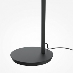Торшер Maytoni Emphaty MOD363FL-L14B3K в Асбесте - asbest.mebel24.online | фото 5