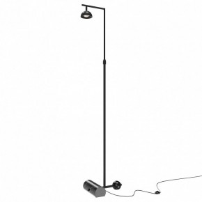 Торшер Maytoni Pikant MOD372FL-L10B3K в Асбесте - asbest.mebel24.online | фото