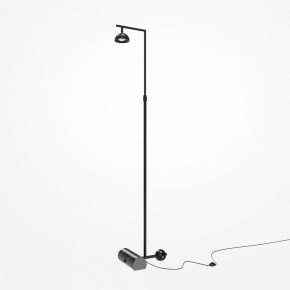 Торшер Maytoni Pikant MOD372FL-L10B3K в Асбесте - asbest.mebel24.online | фото 2
