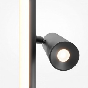 Торшер Maytoni Thin MOD395FL-L28B3K в Асбесте - asbest.mebel24.online | фото 6