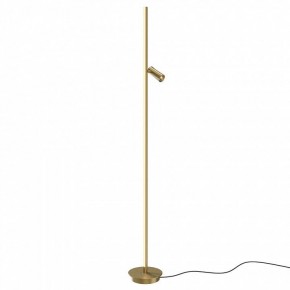 Торшер Maytoni Thin MOD395FL-L28BS3K в Асбесте - asbest.mebel24.online | фото