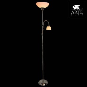 Торшер с подсветкой Arte Lamp Duetto A9569PN-2SS в Асбесте - asbest.mebel24.online | фото 3