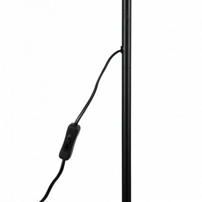 Торшер Uniel UML-T701 UL-00010188 в Асбесте - asbest.mebel24.online | фото 8