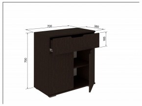 Тумба 2Я-03 в Асбесте - asbest.mebel24.online | фото 3