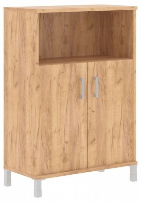 Тумба комбинированная Born B 420.2 в Асбесте - asbest.mebel24.online | фото