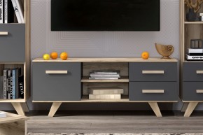 Тумба под ТВ Вега Скандинавия в Асбесте - asbest.mebel24.online | фото 4