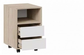 Тумбочка Тип 14 в Асбесте - asbest.mebel24.online | фото 2