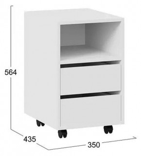 Тумбочка Тип 14 в Асбесте - asbest.mebel24.online | фото 4