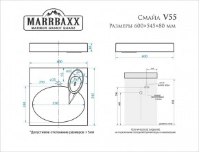 Умывальник над стиральной машиной (600*545*80) Смайл V55D1 (белый) с кронштейном без сифона (V55D1) в Асбесте - asbest.mebel24.online | фото 2